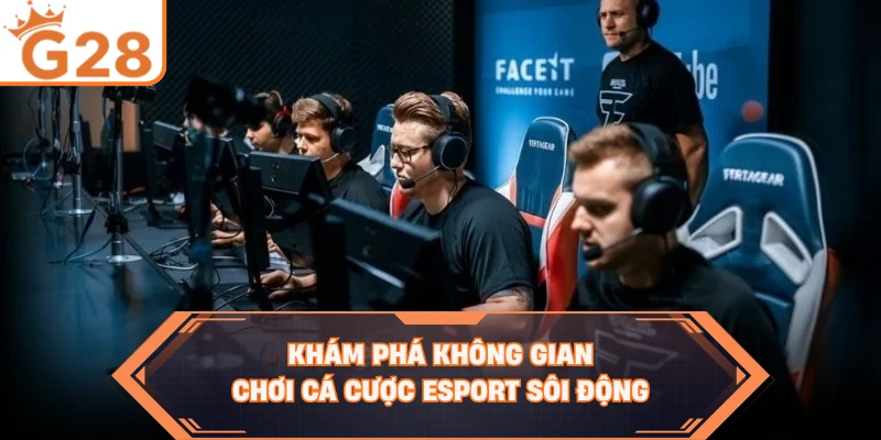 Khám phá không gian chơi cá cược esport sôi động